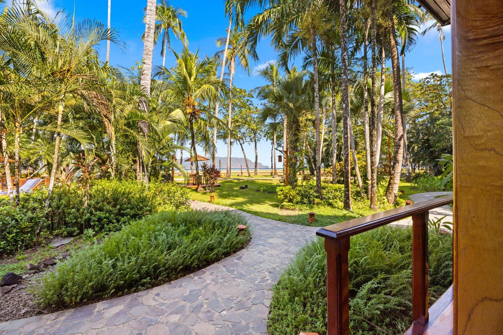 Tambor Tropical Beach Resort- Adults Only Værelse billede